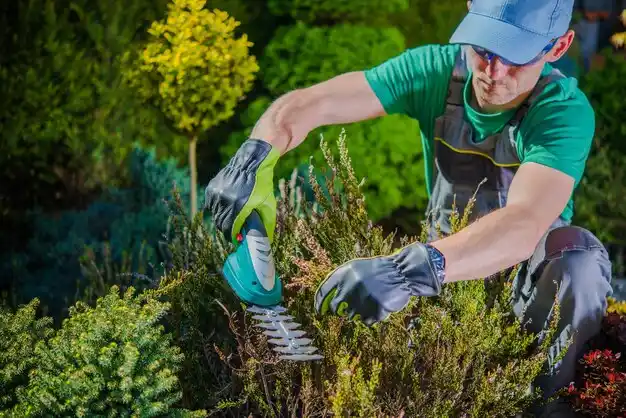 landscaping services Kilmichael